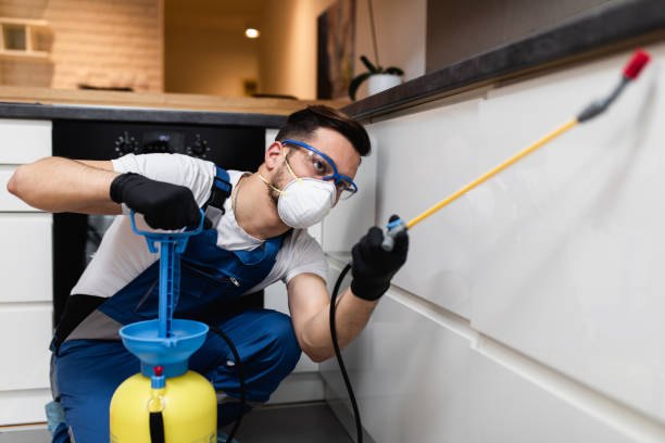 Best Wasp Removal Services  in Secaucus, NJ