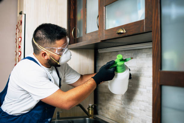 Best Rat Extermination Near Me  in Secaucus, NJ
