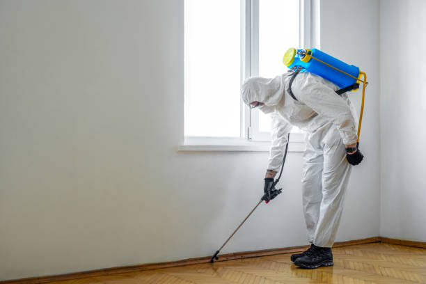 Best Cockroach Control Services  in Secaucus, NJ