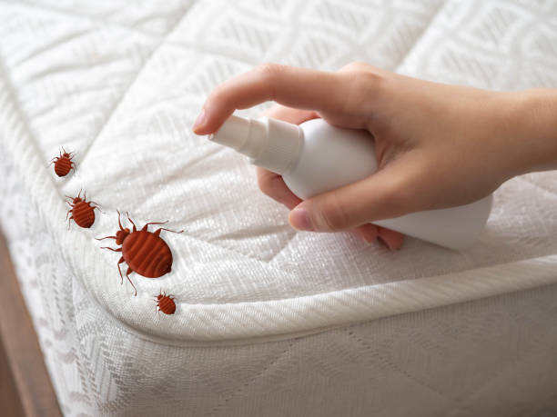 Best Wasp Removal Services  in Secaucus, NJ