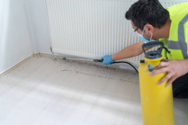 Best Cockroach Control Services  in Secaucus, NJ