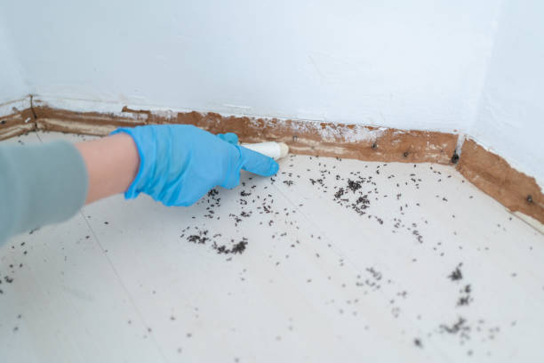 Best Wildlife Control Services  in Secaucus, NJ