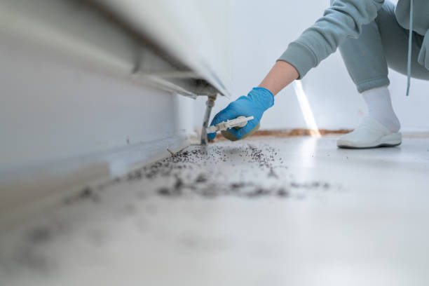 Best Emergency Pest Control  in Secaucus, NJ