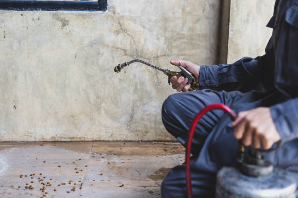 Best Affordable Pest Control Services  in Secaucus, NJ